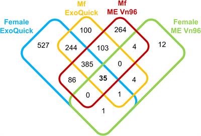 Identification of biomarker candidates for filarial parasite infections by analysis of extracellular vesicles